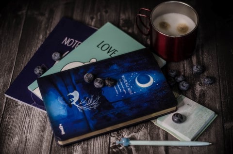 Crítica literaria Alehop en Anika entre libros
